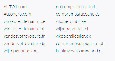 Локализованные домены одной компании